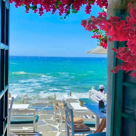La Bouganville Lido di Ostia Esterno foto