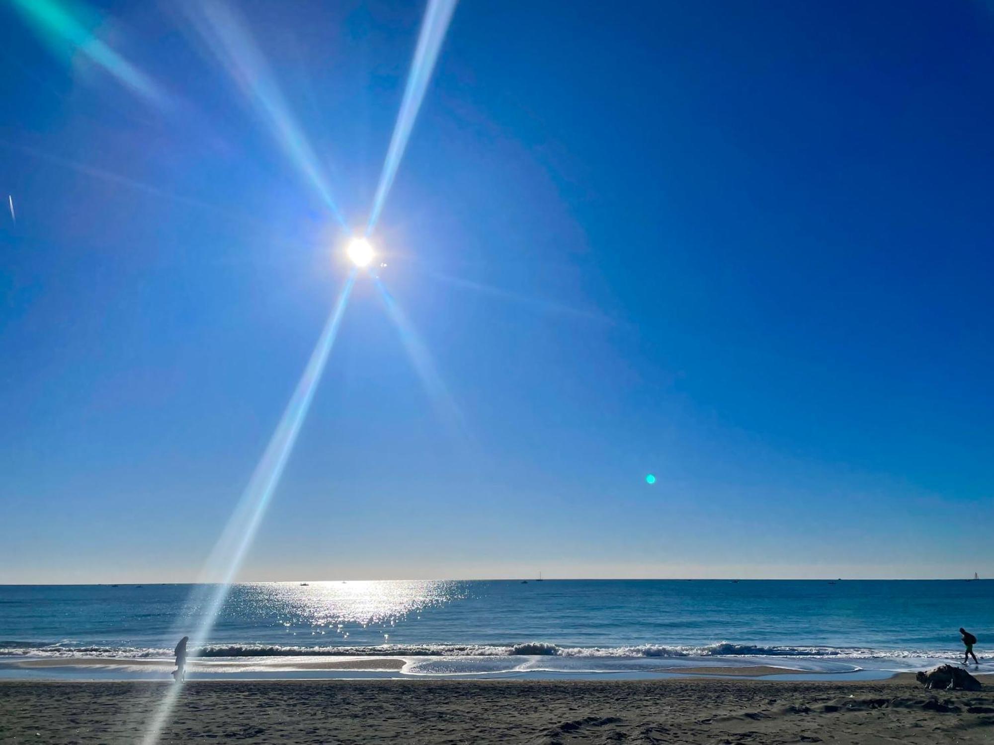 La Bouganville Lido di Ostia Esterno foto